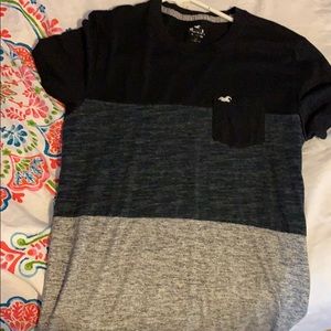 Hollister T